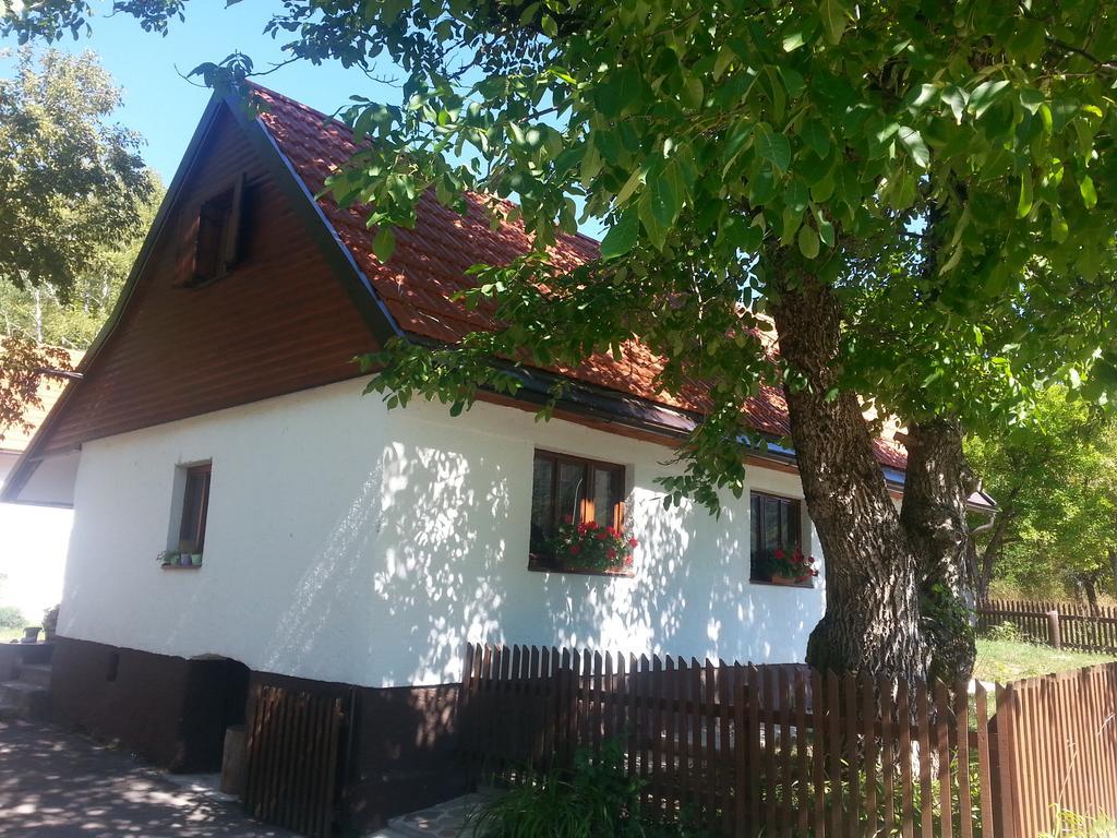 Holiday Home Rizvan City Brusane Extérieur photo